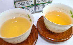 とびだせ語彙力!ルピシア種子島新茶「松寿」飲み比べ大会