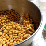 納豆作りのために蒸した大豆に納豆菌を混ぜている写真