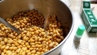納豆作りのために蒸した大豆に納豆菌を混ぜている写真